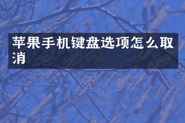 苹果手机键盘选项怎么取消