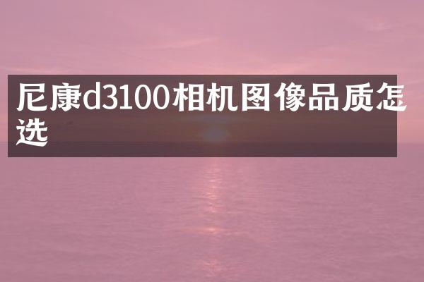 尼康d3100相机图像品质怎么选
