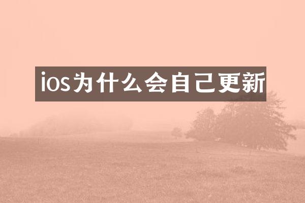 ios为什么会自己更新