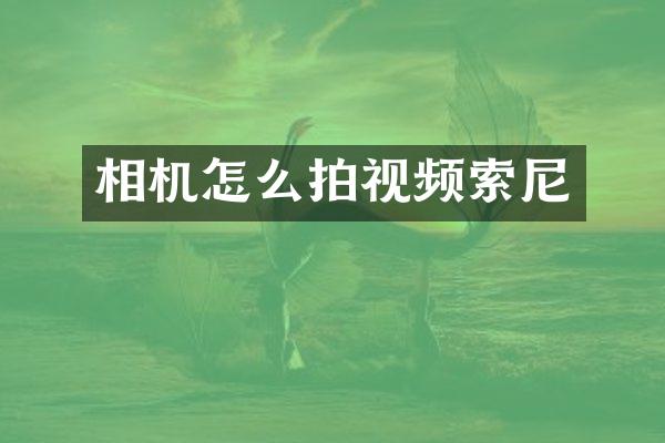 相机怎么拍视频