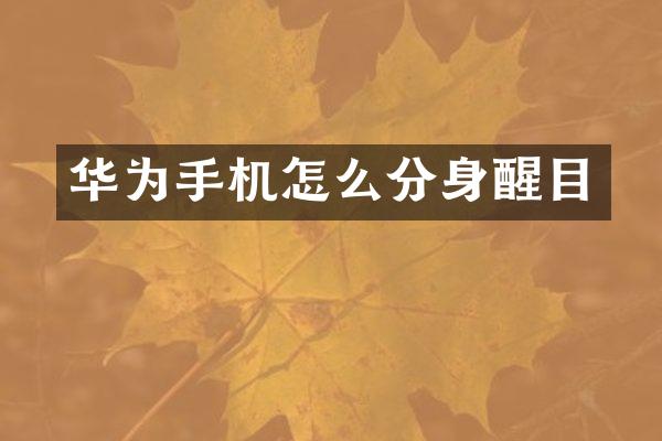华为手机怎么分身醒目