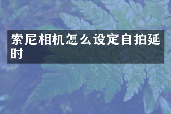 相机怎么设定延时