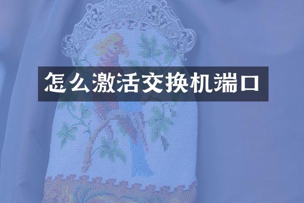 怎么激活交换机端口