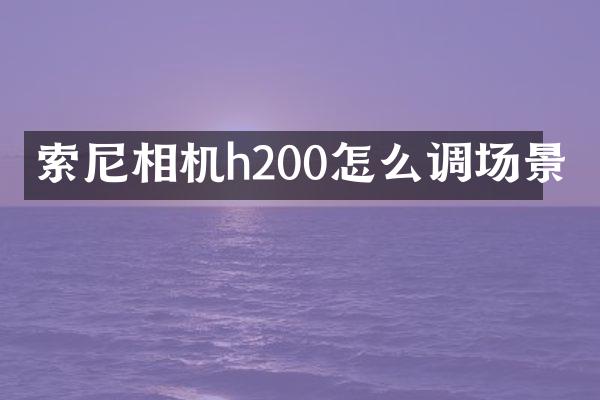 相机h200怎么调场景