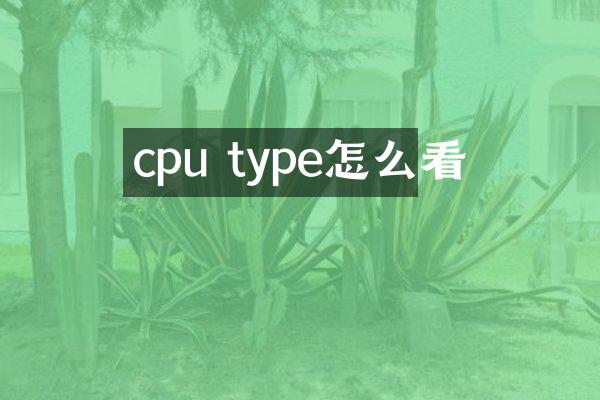 cpu type怎么看