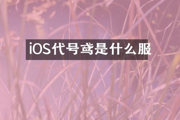 iOS代号鸢是什么服