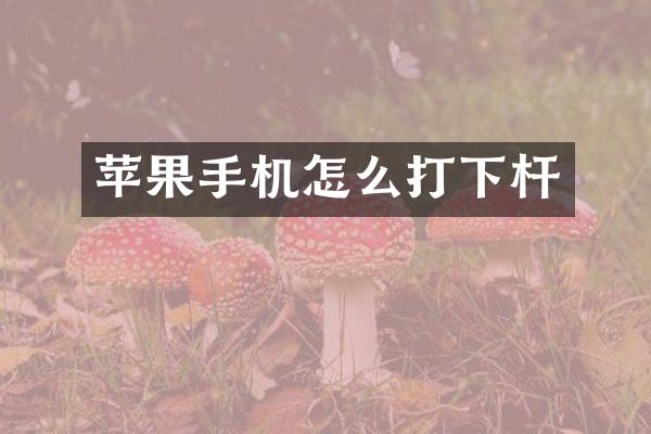 苹果手机怎么打下杆