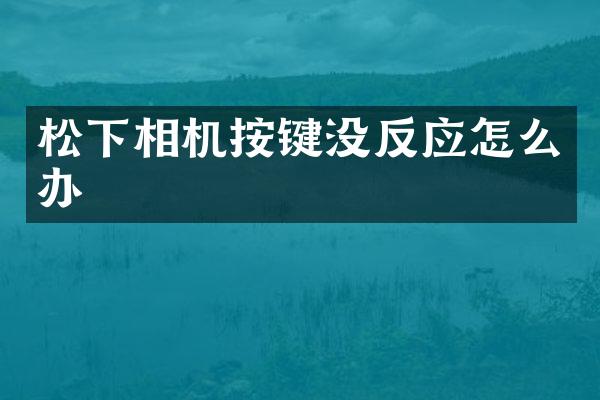 相机按键没反应怎么办