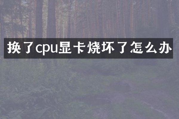 换了cpu显卡烧坏了怎么办