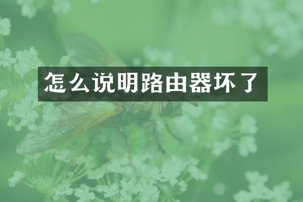 怎么说明路由器坏了
