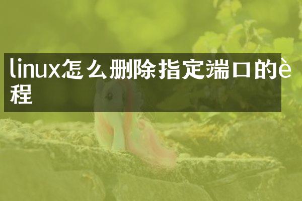 linux怎么删除指定端口的进程