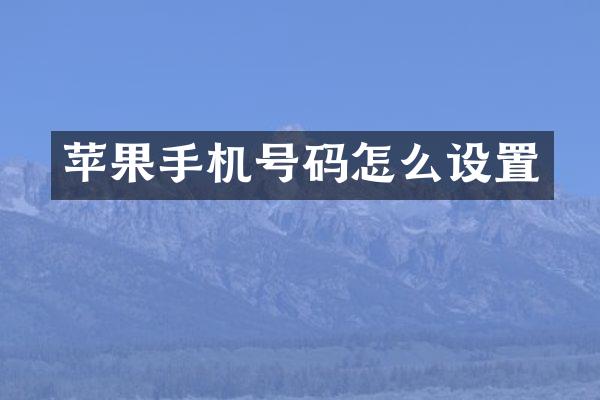 苹果手机号码怎么设置