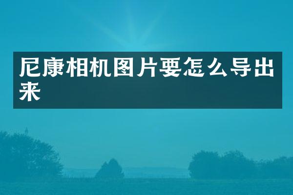 尼康相机图片要怎么导出来