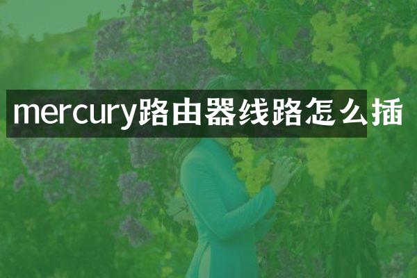 mercury路由器线路怎么插