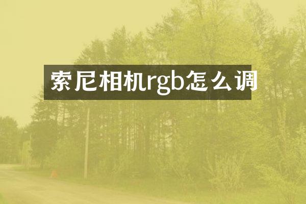 相机rgb怎么调