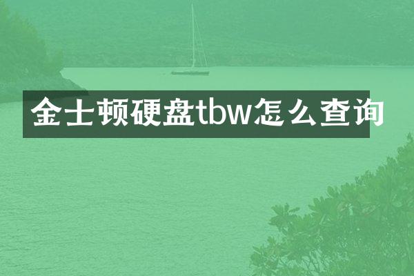 金士顿硬盘tbw怎么查询