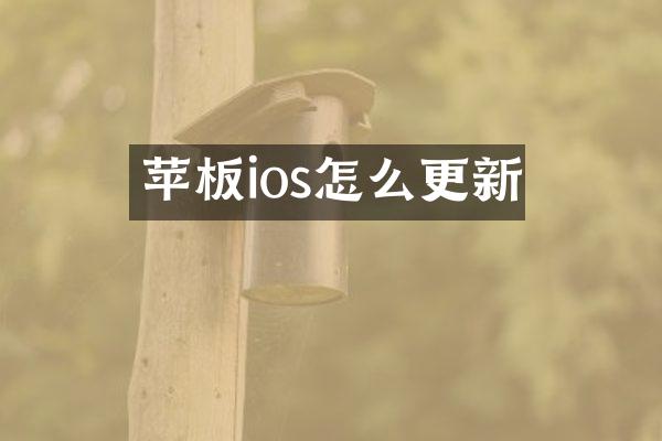 苹板ios怎么更新