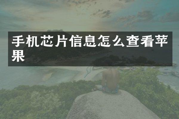 手机芯片信息怎么查看苹果