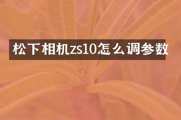 相机zs10怎么调参数