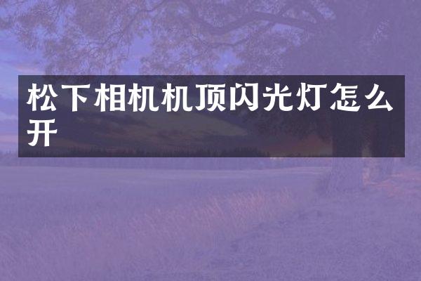 相机机顶闪光灯怎么开