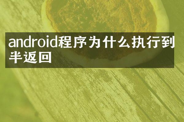 android程序为什么执行到一半返回