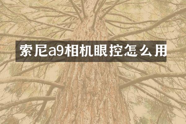 a9相机眼控怎么用
