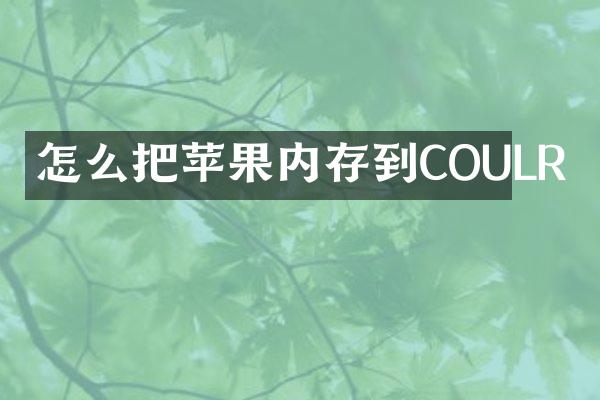 怎么把苹果内存到COULR