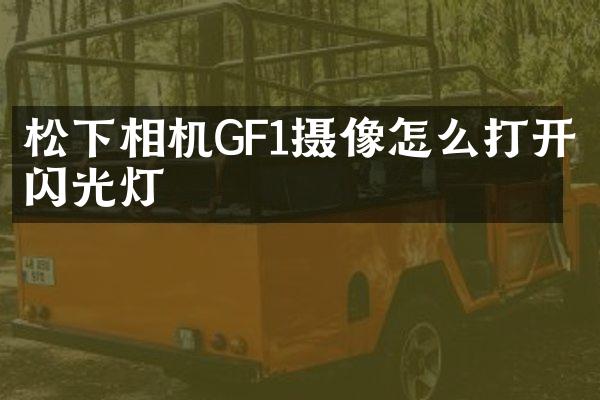相机GF1摄像怎么打开闪光灯