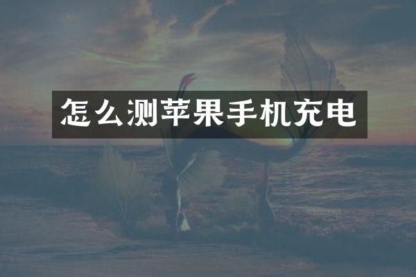 怎么测苹果手机充电