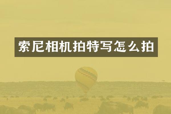 相机拍特写怎么拍