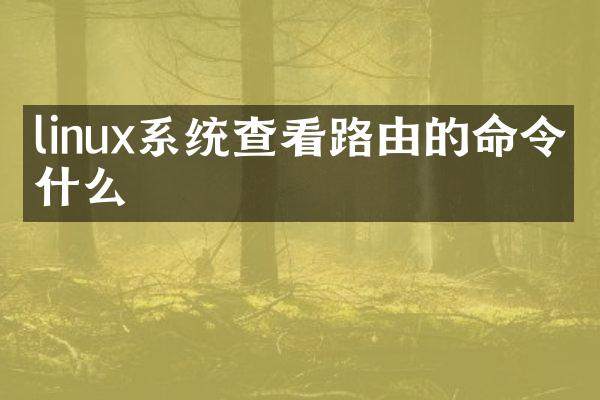 linux系统查看路由的命令是什么