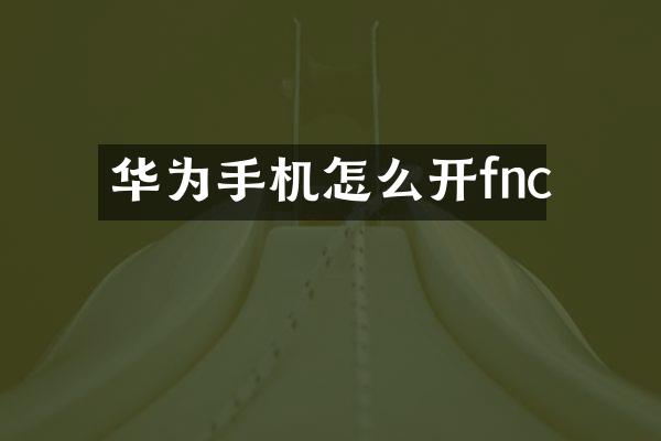 华为手机怎么开fnc