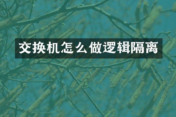 交换机怎么做逻辑隔离