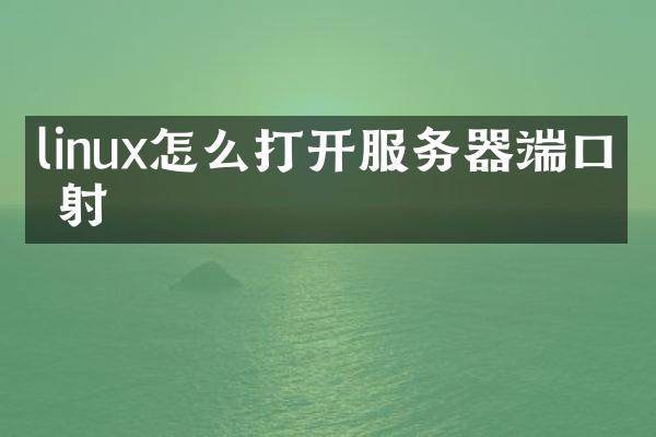 linux怎么打开服务器端口映射