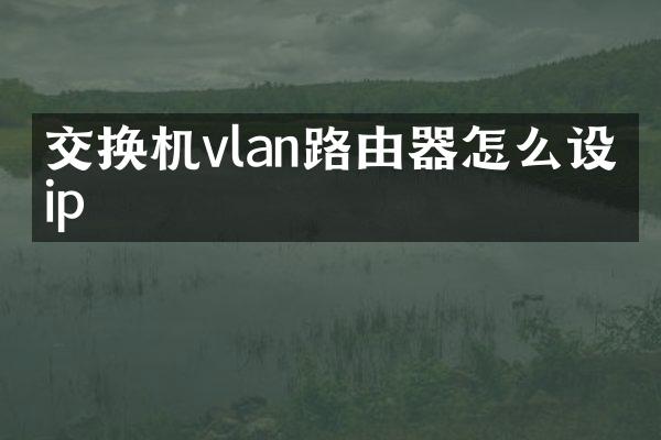 交换机vlan路由器怎么设置ip