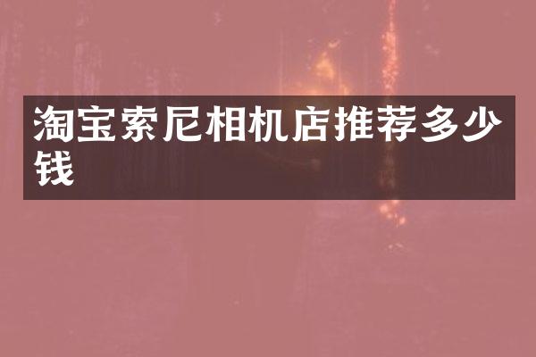淘宝相机店推荐多少钱