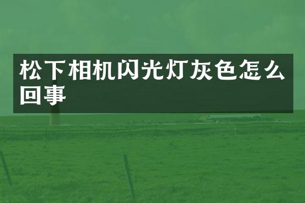 相机闪光灯灰色怎么回事