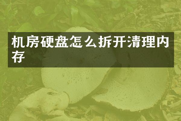 机房硬盘怎么拆开清理内存