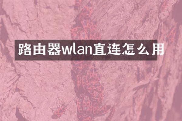 路由器wlan直连怎么用
