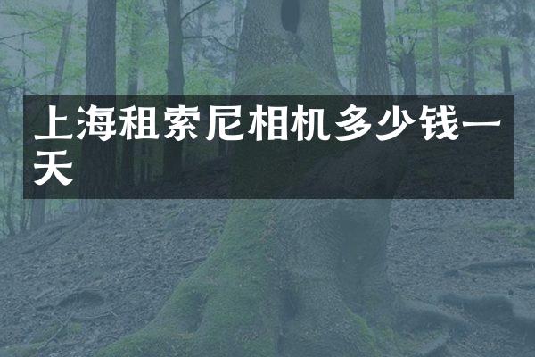 上海租相机多少钱一天