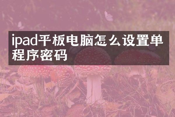 ipad平板电脑怎么设置单个程序密码
