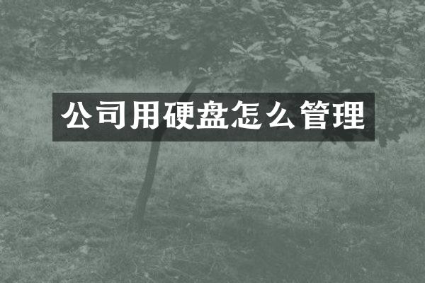 公司用硬盘怎么管理