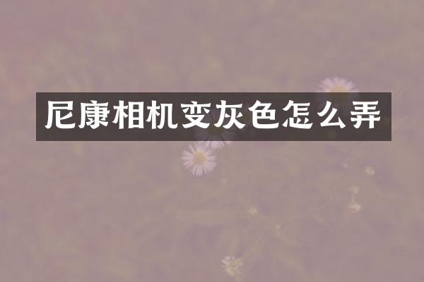 尼康相机变灰色怎么弄