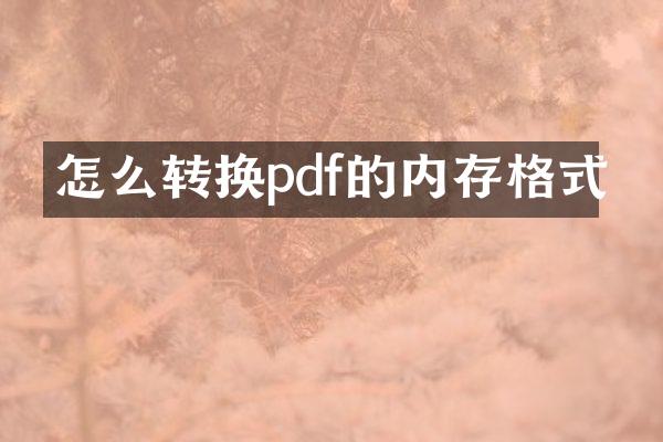 怎么转换pdf的内存格式