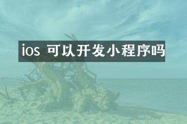 ios 可以开发小程序吗