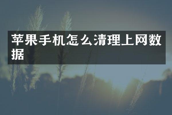 苹果手机怎么清理上网数据