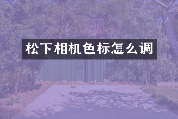 相机色标怎么调