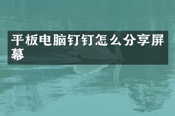 平板电脑钉钉怎么分享屏幕