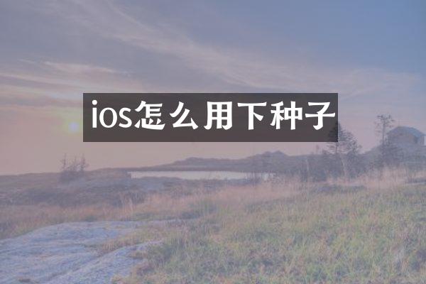 ios怎么用下种子