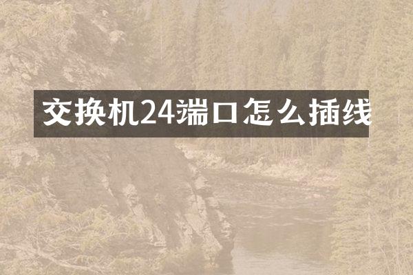 交换机24端口怎么插线